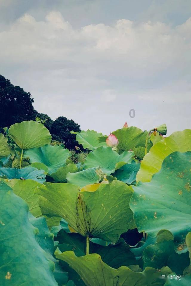 燃烧吧大脑装瓶子游戏